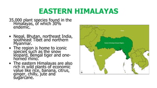 EASTERN HIMALAYAS
35,000 plant species found in the
Himalayas, of which 30%
endemic.
• Nepal, Bhutan, northeast India,
southeast Tibet and northern
Myanmar.
• The region is home to iconic
species such as the snow
leopard, Bengal tiger and one-
horned rhino.
• The eastern Himalayas are also
rich in wild plants of economic
value like rice, banana, citrus,
ginger, chilly, jute and
sugarcane.
 