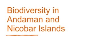 Biodiversity in
Andaman and
Nicobar Islands
 