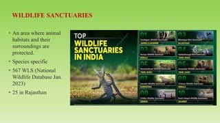 ▪ An area where animal
habitats and their
surroundings are
protected.
▪ Species specific
▪ 567 WLS (National
Wildlife Database Jan.
2023)
▪ 25 in Rajasthan
 