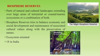▪ Parts of natural and cultural landscapes extending
over large areas of terrestrial or coastal/marine
ecosystems or a combination of both.
▪ Biosphere Reserves tries to balance economic and
social development and maintenance of associated
cultural values along with the preservation of
nature.
▪ Ecosystem oriented
▪ 18 in India
 