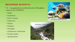 ▪ 10 – recognized on world network of biosphere
reserves by UNESCO
▪ Nilgiri
▪ Sunderbans
▪ Gulf of mannar
▪ Nanda devi
▪ Nokrek
▪ Pachmari
▪ Simiplipal
▪ Achanakmar-Amarkantak
▪ Nicobar islands
▪ Agasthyamalai
 