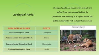 ZOOLOGICAL PARKS STATE
Nehru Zoological Park Telangana
Nandankanan Zoological Park Orissa
Bannerghatta Biological Park Karnataka
National Zoological Park Delhi
Zoological Parks
Zoological parks are places where animals are
shifted from their natural habitat for
protection and breeding. It is a place where the
public is allowed to visit and see these animals.
 