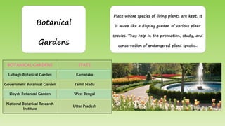 Botanical
Gardens
Place where species of living plants are kept. It
is more like a display garden of various plant
species. They help in the promotion, study, and
conservation of endangered plant species..
BOTANICAL GARDENS STATE
Lalbagh Botanical Garden Karnataka
Government Botanical Garden Tamil Nadu
Lloyds Botanical Garden West Bengal
National Botanical Research
Institute
Uttar Pradesh
 