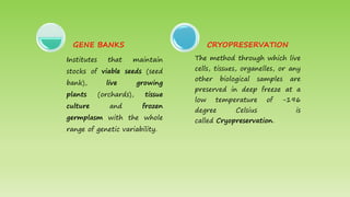 Institutes that maintain
stocks of viable seeds (seed
bank), live growing
plants (orchards), tissue
culture and frozen
germplasm with the whole
range of genetic variability.
GENE BANKS
The method through which live
cells, tissues, organelles, or any
other biological samples are
preserved in deep freeze at a
low temperature of -196
degree Celsius is
called Cryopreservation.
CRYOPRESERVATION
 