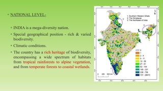 ▪ NATIONAL LEVEL-
▪ INDIA is a mega-diversity nation.
▪ Special geographical position - rich & varied
biodiversity.
▪ Climatic conditions.
▪ The country has a rich heritage of biodiversity,
encompassing a wide spectrum of habitats
from tropical rainforests to alpine vegetation,
and from temperate forests to coastal wetlands.
 