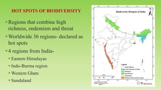 ▪Regions that combine high
richness, endemism and threat
▪Worldwide 36 regions- declared as
hot spots
▪4 regions from India-
▪ Eastern Himalayas
▪ Indo-Burma region
▪ Western Ghats
▪ Sundaland
 