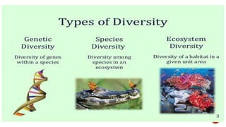 Conscientization programme on Biodiversity depletion among secondary ...