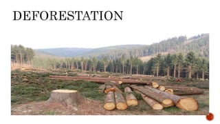 Conscientization programme on Biodiversity depletion among secondary ...