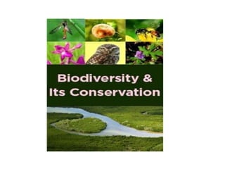 Biodiversity and its conservation india | PPTX