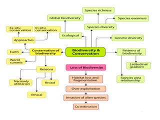 Biodiversity and its conservation india | PPTX