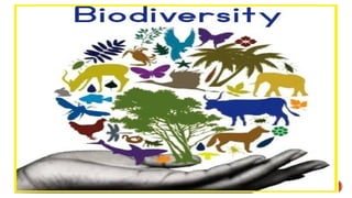 Conscentization on biodiversity and it's types | PPTX