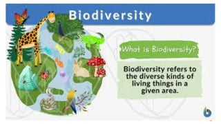 Conscentization on biodiversity and it's types | PPTX
