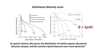 As species richness decreases, the distribution of relative species abundance
becomes steeper, and the common species become even more dominant”
Dominance diversity curve
θ = 2ρAV
 
