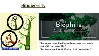 Biodiversity
"the connections that human beings subconsciously
seek with the rest of life.“
“the passionate love of life and of all that is alive.”
 