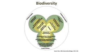 Biodiversity
Source: Noss. 1990. Conservation Biology, 4: 355 - 364.
 