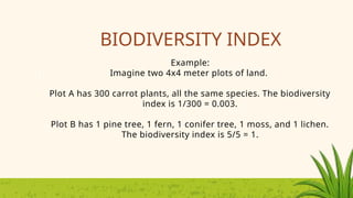 Biodiversity.udfnfndrijfreniufrnsiufnriufrenfuiernfuire | PPTX