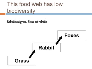 biodiversity-and-ecosystem-stability.ppt