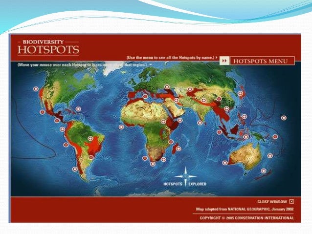 Which one of the following is important strategy for the conservation of biodiversity