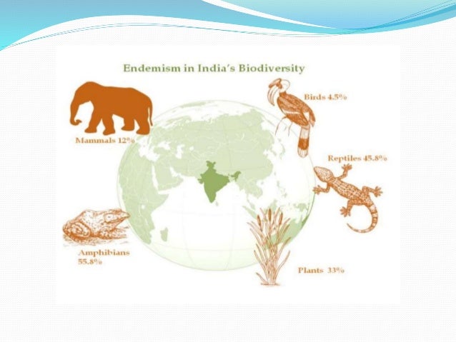 Which one of the following is important strategy for the conservation of biodiversity