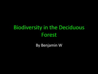 Biodiversity in the Deciduous Forest By Benjamin W