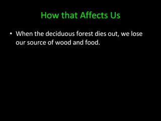 How that Affects Us When the deciduous forest dies out, we lose our source of wood and food.