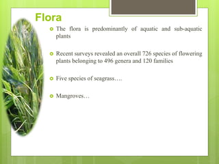 Flora
 The flora is predominantly of aquatic and sub-aquatic
plants
 Recent surveys revealed an overall 726 species of flowering
plants belonging to 496 genera and 120 families
 Five species of seagrass….
 Mangroves…
 