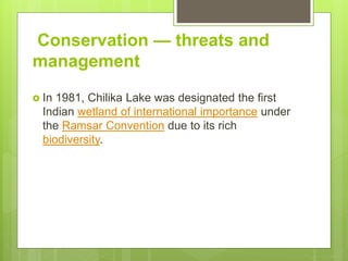 Conservation — threats and
management
 In 1981, Chilika Lake was designated the first
Indian wetland of international importance under
the Ramsar Convention due to its rich
biodiversity.
 