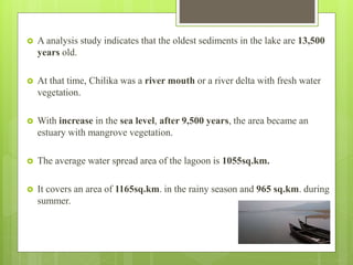  A analysis study indicates that the oldest sediments in the lake are 13,500
years old.
 At that time, Chilika was a river mouth or a river delta with fresh water
vegetation.
 With increase in the sea level, after 9,500 years, the area became an
estuary with mangrove vegetation.
 The average water spread area of the lagoon is 1055sq.km.
 It covers an area of 1165sq.km. in the rainy season and 965 sq.km. during
summer.
 
