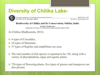 At Chilika (Madhusmita, 2012)
 4 types of Crocodiles,
 24 types of Mammals,
 37 types of Reptiles and amphibians are seen.
 The total number of fish species is reported to be 158, along with a
variety of phytoplankton, algae and aquatic plants.
 726 types of flowering plants, five types of grasses and mangroves are
also present.
Diversity of Chilika Lake-
 