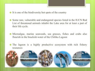  It is one of the biodiversity hot spots of the country
 Some rare, vulnerable and endangered species listed in the IUCN Red
List of threatened animals inhabit the Lake area for at least a part of
their life cycle.
 Microalgae, marine seaweeds, sea grasses, fishes and crabs also
flourish in the brackish water of the Chilika Lagoon
 The lagoon is a highly productive ecosystem with rich fishery
resources
 