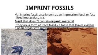 Biodiversity Lesson for Grade 10, explaiin | PPTX
