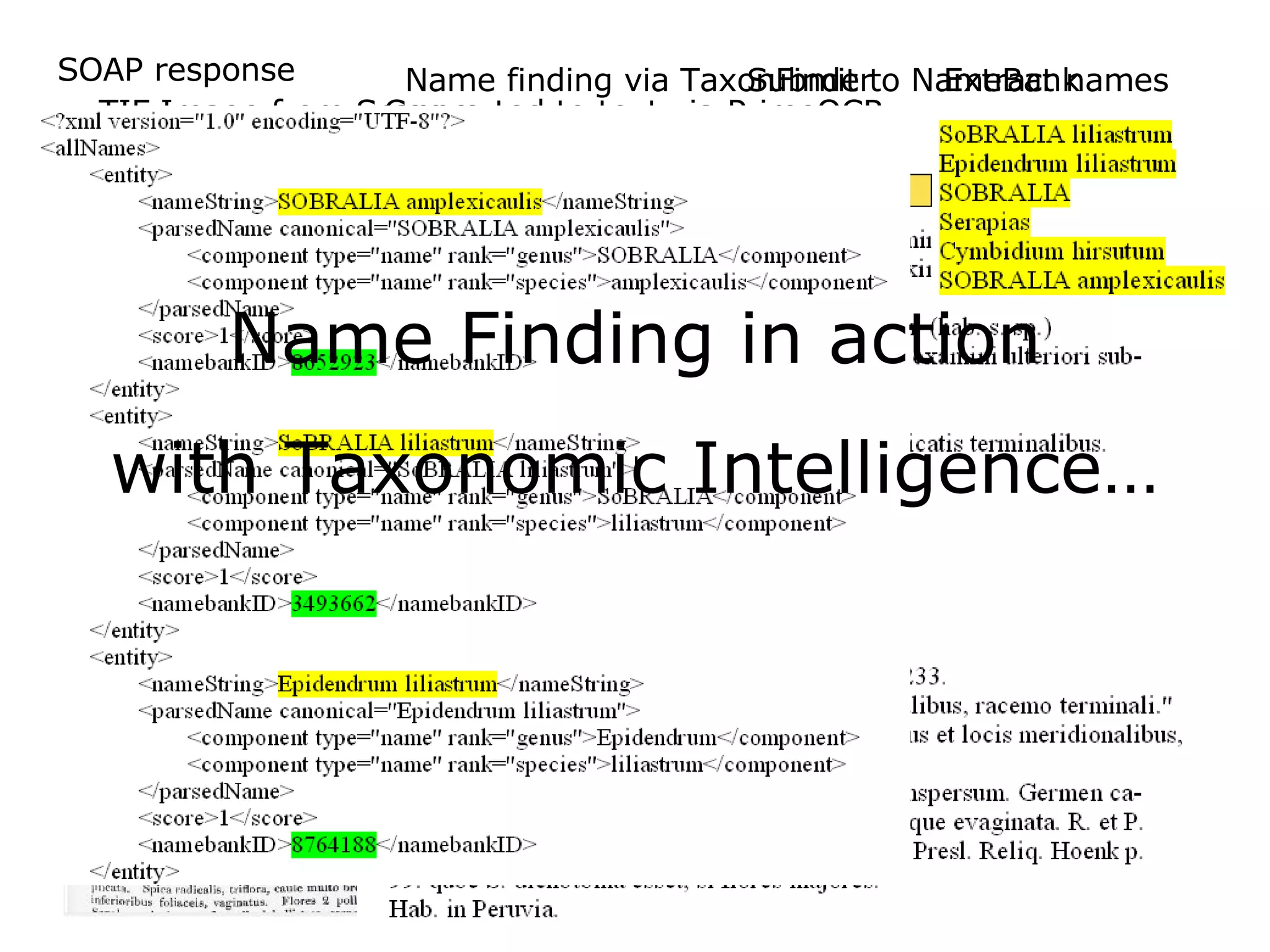 TIF Image from Scanner Converted to text via PrimeOCR Name finding via TaxonFinder Extract names Submit to NameBank SOAP response Name Finding in action with Taxonomic Intelligence… 