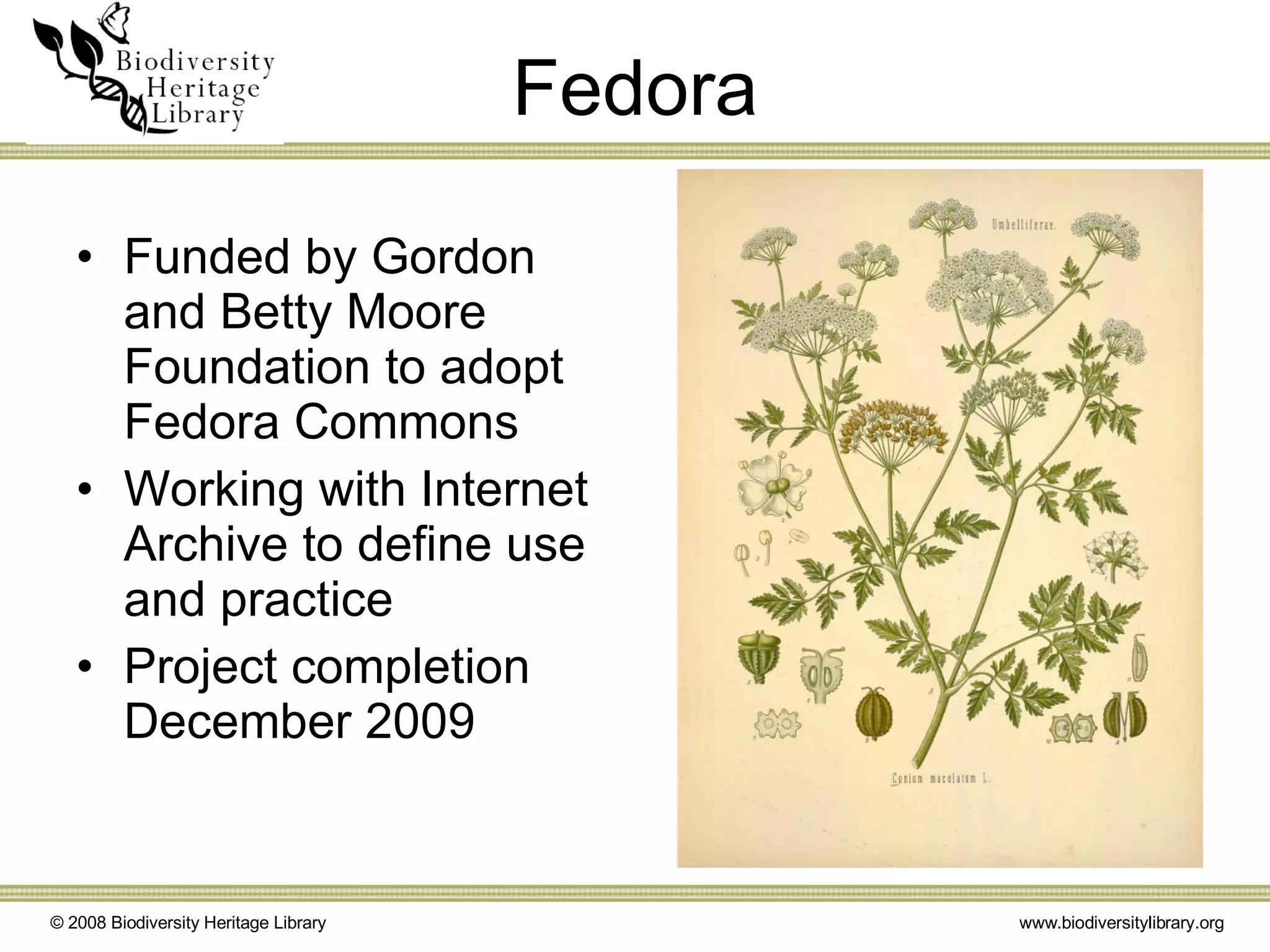 Fedora Funded by Gordon and Betty Moore Foundation to adopt Fedora Commons Working with Internet Archive to define use and practice Project completion December 2009 