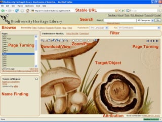Stable URL Attribution Name Finding Page Turning Page Turning Zoom/Pan Download/View Browse Search Filter Target/Object 