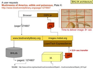 LizardTech ExpressServer Browser  GSIV.js www.biodiversitylibrary.org .jp2 .jpg IA  /page/1274907 pageid: 1274907 BHLdb http://www.archive.org/download/mushroomsofameri00palm/.../mushroomsofameri00palm_0010.jp2  images.mobot.org A user requests  Mushrooms of America, edible and poisonous , Plate X: http://www.biodiversitylibrary.org/page/1274907   locate: BHL/IA architecture = 5.0+ sec transfer Time to deliver image: 8+ sec 