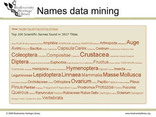 Names data mining 