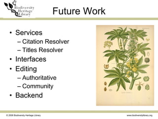 Future Work Services Citation Resolver Titles Resolver Interfaces Editing Authoritative Community Backend 
