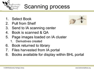 Scanning process Select Book Pull from Shelf Send to IA scanning center Book is scanned & QA Page images loaded on IA cluster Derivatives created Book returned to library Files harvested from IA portal Books available for display within BHL portal 