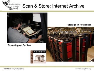 Scan & Store: Internet Archive Scanning on Scribes Storage in Petaboxes 