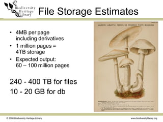 File Storage Estimates <ul><li>4MB per page  including derivatives </li></ul><ul><li>1 million pages =  4TB storage  </li>...