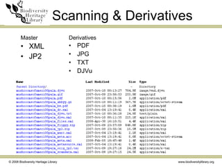 Scanning & Derivatives <ul><li>XML </li></ul><ul><li>JP2 </li></ul><ul><li>PDF </li></ul><ul><li>JPG </li></ul><ul><li>TXT...