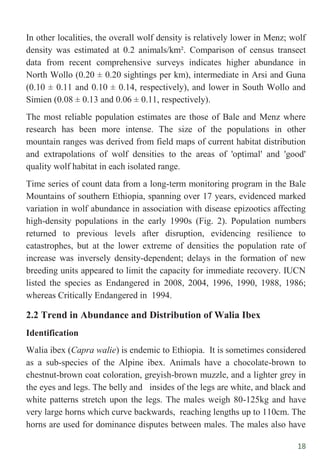 18
In other localities, the overall wolf density is relatively lower in Menz; wolf
density was estimated at 0.2 animals/km². Comparison of census transect
data from recent comprehensive surveys indicates higher abundance in
North Wollo (0.20 ± 0.20 sightings per km), intermediate in Arsi and Guna
(0.10 ± 0.11 and 0.10 ± 0.14, respectively), and lower in South Wollo and
Simien (0.08 ± 0.13 and 0.06 ± 0.11, respectively).
The most reliable population estimates are those of Bale and Menz where
research has been more intense. The size of the populations in other
mountain ranges was derived from field maps of current habitat distribution
and extrapolations of wolf densities to the areas of 'optimal' and 'good'
quality wolf habitat in each isolated range.
Time series of count data from a long-term monitoring program in the Bale
Mountains of southern Ethiopia, spanning over 17 years, evidenced marked
variation in wolf abundance in association with disease epizootics affecting
high-density populations in the early 1990s (Fig. 2). Population numbers
returned to previous levels after disruption, evidencing resilience to
catastrophes, but at the lower extreme of densities the population rate of
increase was inversely density-dependent; delays in the formation of new
breeding units appeared to limit the capacity for immediate recovery. IUCN
listed the species as Endangered in 2008, 2004, 1996, 1990, 1988, 1986;
whereas Critically Endangered in 1994.
2.2 Trend in Abundance and Distribution of Walia Ibex
Identification
Walia ibex (Capra walie) is endemic to Ethiopia. It is sometimes considered
as a sub-species of the Alpine ibex. Animals have a chocolate-brown to
chestnut-brown coat coloration, greyish-brown muzzle, and a lighter grey in
the eyes and legs. The belly and insides of the legs are white, and black and
white patterns stretch upon the legs. The males weigh 80-125kg and have
very large horns which curve backwards, reaching lengths up to 110cm. The
horns are used for dominance disputes between males. The males also have
 