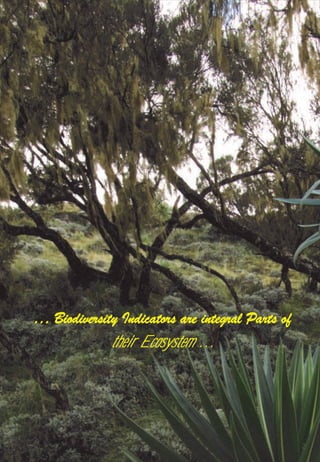 2
… Biodiversity Indicators are integral Parts of
their Ecosystem ...
 