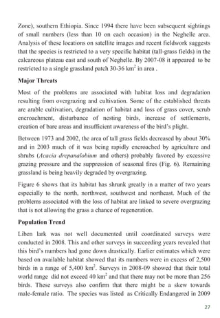 27
Zone), southern Ethiopia. Since 1994 there have been subsequent sightings
of small numbers (less than 10 on each occasion) in the Neghelle area.
Analysis of these locations on satellite images and recent fieldwork suggests
that the species is restricted to a very specific habitat (tall-grass fields) in the
calcareous plateau east and south of Neghelle. By 2007-08 it appeared to be
restricted to a single grassland patch 30-36 km2
in area .
Major Threats
Most of the problems are associated with habitat loss and degradation
resulting from overgrazing and cultivation. Some of the established threats
are arable cultivation, degradation of habitat and loss of grass cover, scrub
encroachment, disturbance of nesting birds, increase of settlements,
creation of bare areas and insufficient awareness of the bird‟s plight.
Between 1973 and 2002, the area of tall grass fields decreased by about 30%
and in 2003 much of it was being rapidly encroached by agriculture and
shrubs (Acacia drepanalobium and others) probably favored by excessive
grazing pressure and the suppression of seasonal fires (Fig. 6). Remaining
grassland is being heavily degraded by overgrazing.
Figure 6 shows that its habitat has shrunk greatly in a matter of two years
especially to the north, northwest, southwest and northeast. Much of the
problems associated with the loss of habitat are linked to severe overgrazing
that is not allowing the grass a chance of regeneration.
Population Trend
Liben lark was not well documented until coordinated surveys were
conducted in 2008. This and other surveys in succeeding years revealed that
this bird‟s numbers had gone down drastically. Earlier estimates which were
based on available habitat showed that its numbers were in excess of 2,500
birds in a range of 5,400 km2
. Surveys in 2008-09 showed that their total
world range did not exceed 40 km2
and that there may not be more than 256
birds. These surveys also confirm that there might be a skew towards
male-female ratio. The species was listed as Critically Endangered in 2009
 