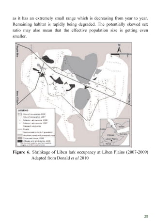 28
as it has an extremely small range which is decreasing from year to year.
Remaining habitat is rapidly being degraded. The potentially skewed sex
ratio may also mean that the effective population size is getting even
smaller.
Figure 6. Shrinkage of Liben lark occupancy at Liben Plains (2007-2009)
Adapted from Donald et al 2010
 