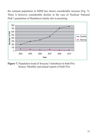 31
the remnant population in SSHS has shown considerable increase (Fig. 7).
There is however considerable decline in the case of Nechisar National
Park‟s population of Hartebeest mainly due to poaching.
Figure 7. Population trend of Swayne‟s hartebeest in both PAs
Source: Monthly and annual reports of both PAs
Population trend of SH in Senkele SHS and Nechsar NP
0
100
200
300
400
500
600
700
800
2003 2005 2006 2007 2009 2010
Year
Number
of
SH
Senkele
Nechsar
 
