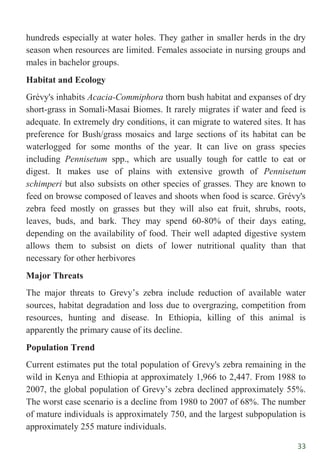 33
hundreds especially at water holes. They gather in smaller herds in the dry
season when resources are limited. Females associate in nursing groups and
males in bachelor groups.
Habitat and Ecology
Grévy's inhabits Acacia-Commiphora thorn bush habitat and expanses of dry
short-grass in Somali-Masai Biomes. It rarely migrates if water and feed is
adequate. In extremely dry conditions, it can migrate to watered sites. It has
preference for Bush/grass mosaics and large sections of its habitat can be
waterlogged for some months of the year. It can live on grass species
including Pennisetum spp., which are usually tough for cattle to eat or
digest. It makes use of plains with extensive growth of Pennisetum
schimperi but also subsists on other species of grasses. They are known to
feed on browse composed of leaves and shoots when food is scarce. Grévy's
zebra feed mostly on grasses but they will also eat fruit, shrubs, roots,
leaves, buds, and bark. They may spend 60-80% of their days eating,
depending on the availability of food. Their well adapted digestive system
allows them to subsist on diets of lower nutritional quality than that
necessary for other herbivores
Major Threats
The major threats to Grevy‟s zebra include reduction of available water
sources, habitat degradation and loss due to overgrazing, competition from
resources, hunting and disease. In Ethiopia, killing of this animal is
apparently the primary cause of its decline.
Population Trend
Current estimates put the total population of Grevy's zebra remaining in the
wild in Kenya and Ethiopia at approximately 1,966 to 2,447. From 1988 to
2007, the global population of Grevy‟s zebra declined approximately 55%.
The worst case scenario is a decline from 1980 to 2007 of 68%. The number
of mature individuals is approximately 750, and the largest subpopulation is
approximately 255 mature individuals.
 