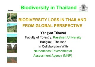 Biodiversity in Thailand

BIODIVERSITY LOSS IN THAILAND
  FROM GLOBAL PERSPECTIVE
              Yongyut Trisurat
  Faculty of Forestry, Kasetsart University
             Bangkok, Thailand
            In Collaboration With
        Netherlands Environmental
        Assessment Agency (MNP)