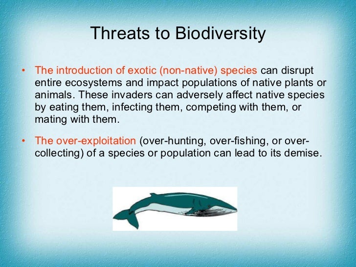 Biodiversity new