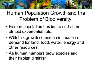Human Population Growth and the Problem of Biodiversity  ,[object Object],[object Object],[object Object]